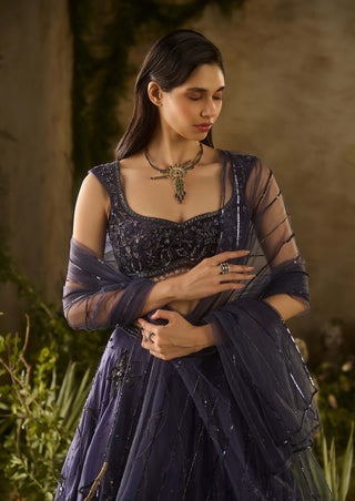 Enchanted charm blue lehenga set