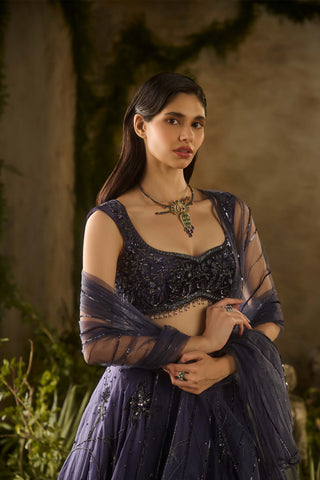 Enchanted charm blue lehenga set