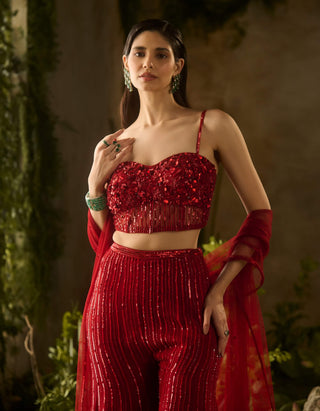 Rouge red blouse and flared pant set