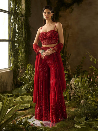 Rouge red blouse and flared pant set