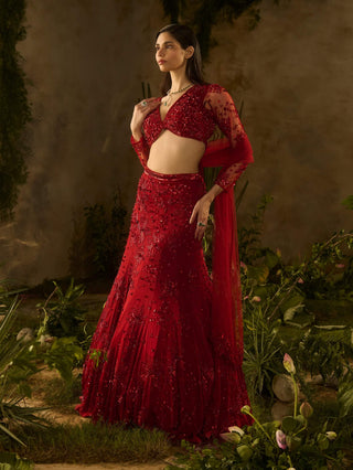 Rossa bella lehenga set