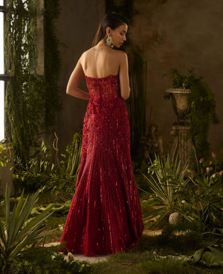 Ignessa red gown and dupatta