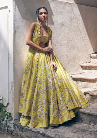 Paulmi & Harsh-Lime Yellow Floral Lehenga Jacket Set-INDIASPOPUP.COM