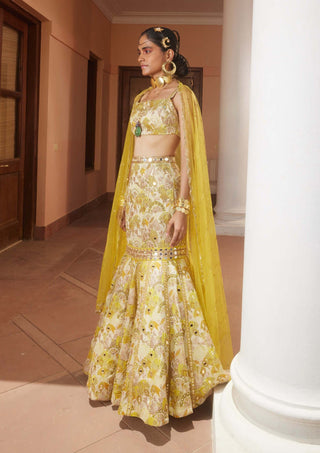Paulmi & Harsh-Lime Green Fishcut Lehenga Set-INDIASPOPUP.COM