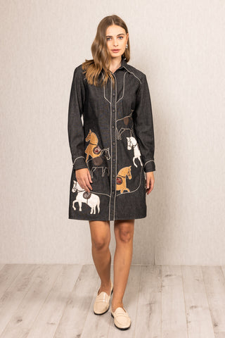 Amber shirt dress