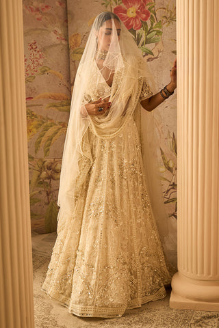 Ridhi Mehra-Dream Ivory Embroidered Lehenga Set-INDIASPOPUP.COM