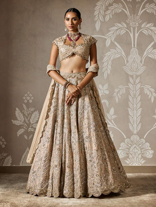 Ridhi Mehra Ziva Champagne Lehenga Set available on indiaspopup