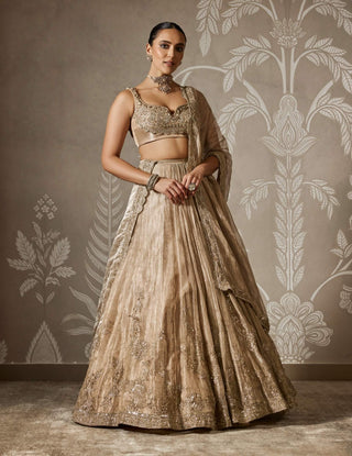 Ridhi Mehra Arnika Gunmetal Gold Lehenga Set available on indiaspopup