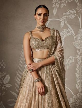 Ridhi Mehra Arnika Gunmetal Gold Lehenga Set available on indiaspopup