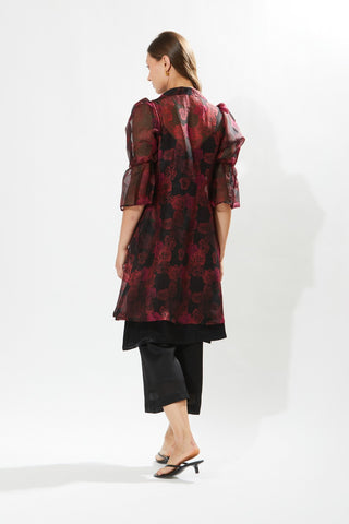 Meadow-Rosa Organza Coat And Pant Set-INDIASPOPUP.COM