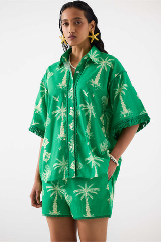 Sago Palm Green Shirt And Shorts by Studio Rigu available on Indiaspopup.com