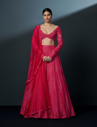 Skybloom fuchsia cutwork blouse and lehenga set