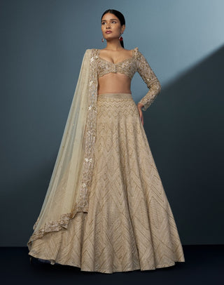 Aurielle gold blouse and lehenga set