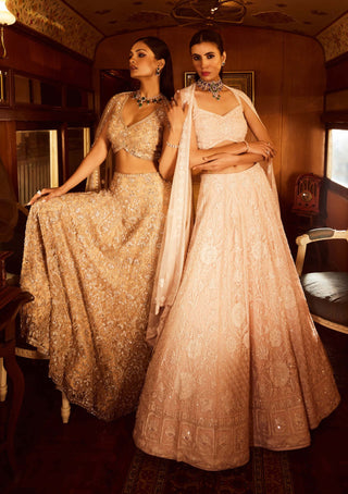 Rococo By Raghvi-Virtue Ice Pink Lehenga Set-INDIASPOPUP.COM