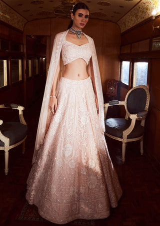 Rococo By Raghvi-Virtue Ice Pink Lehenga Set-INDIASPOPUP.COM