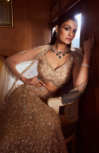 Rococo By Raghvi-Pinnacle Beige Embellished Lehenga Set-INDIASPOPUP.COM