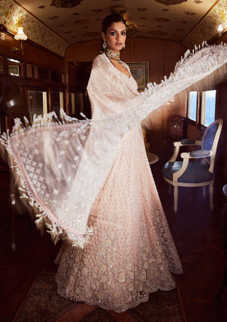 Rococo By Raghvi-Luna Ice Pink Embellished Lehenga Set-INDIASPOPUP.COM