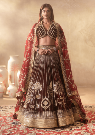 House Of Masaba-Wine Dil Chidiya Lehenga Set-INDIASPOPUP.COM