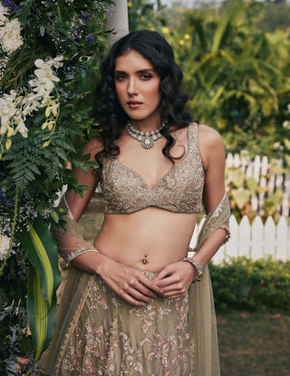 Chamee And Palak-Serena Dusty Green Lehenga Set-INDIASPOPUP.COM