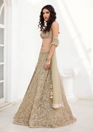 Chamee And Palak-Serena Dusty Green Lehenga Set-INDIASPOPUP.COM