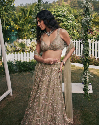 Chamee And Palak-Serena Dusty Green Lehenga Set-INDIASPOPUP.COM
