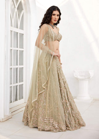 Chamee And Palak-Serena Dusty Green Lehenga Set-INDIASPOPUP.COM