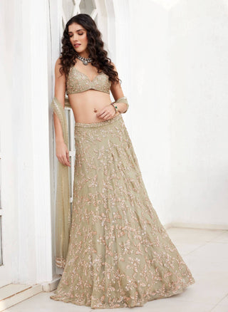 Chamee And Palak-Serena Dusty Green Lehenga Set-INDIASPOPUP.COM