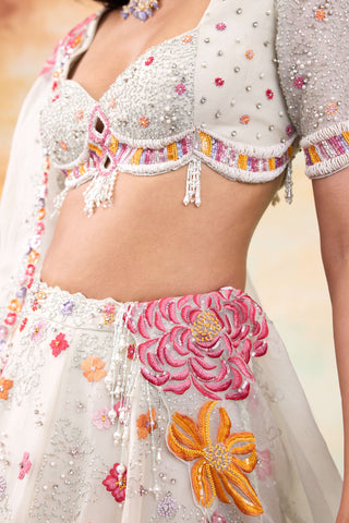 Fiona silk organza lehenga set