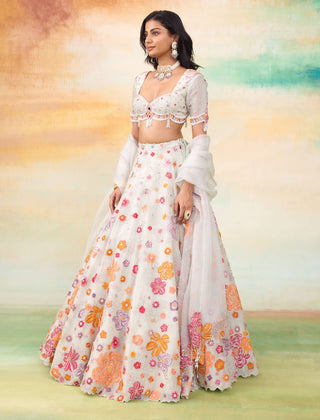 Fiona silk organza lehenga set