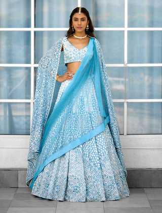 Blue blossom embellished lehenga set