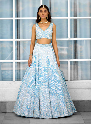 Blue blossom embellished lehenga set