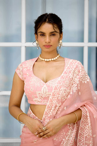 Whispers of rose embellished sari and blouse