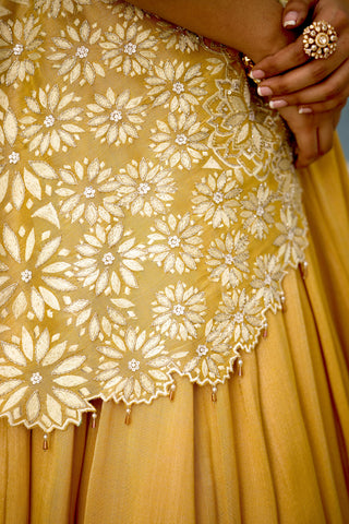 Marigold muse embellished lehenga sari and blouse