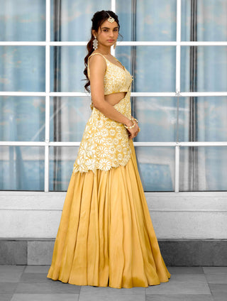 Marigold muse embellished lehenga sari and blouse