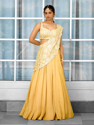 Marigold muse embellished lehenga sari and blouse