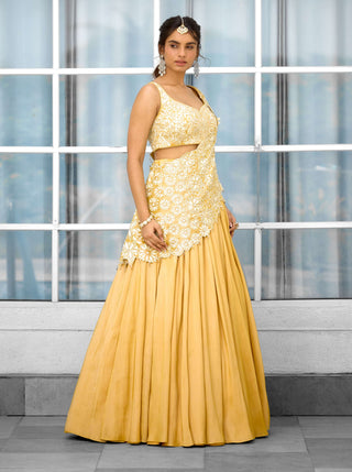 Marigold muse embellished lehenga sari and blouse