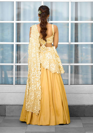 Marigold muse embellished lehenga sari and blouse
