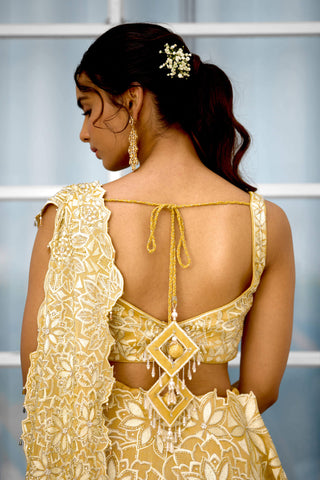Marigold muse embellished lehenga sari and blouse