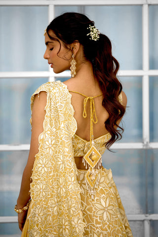 Marigold muse embellished lehenga sari and blouse