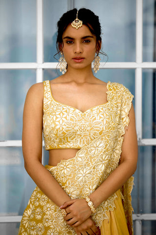 Marigold muse embellished lehenga sari and blouse