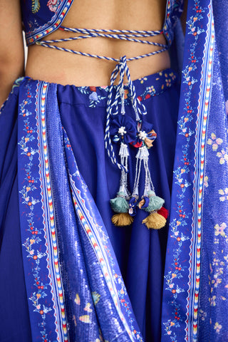 Peacock garden printed lehenga set