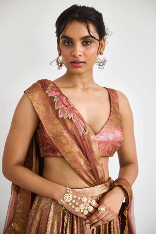 Carnival sprinkle sequence lehenga set