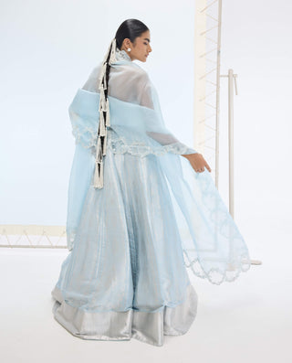 Aqua green liza lehenga set