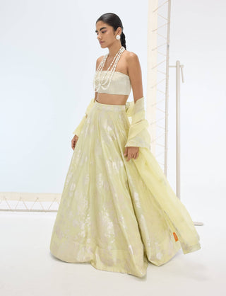 Pista green sylvie lehenga set
