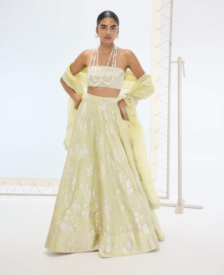 Pista green sylvie lehenga set