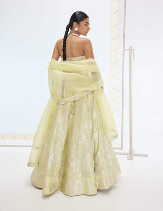 Pista green sylvie lehenga set