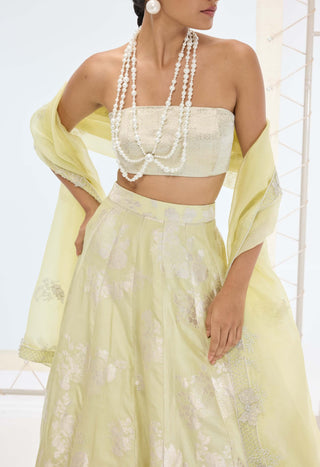 Pista green sylvie lehenga set