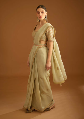 Shyam Narayan Prasad-Whisper Green Zardozi Sari And Blouse-INDIASPOPUP.COM
