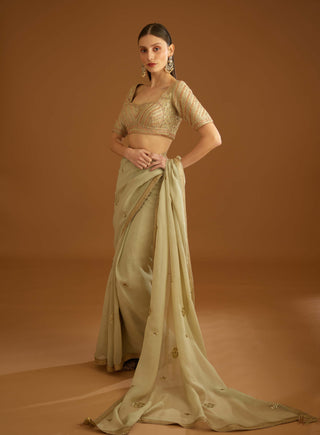 Shyam Narayan Prasad-Whisper Green Zardozi Sari And Blouse-INDIASPOPUP.COM