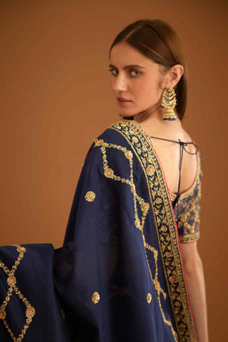 Shyam Narayan Prasad-Dark Navy Blue Zardozi Sari And Blouse-INDIASPOPUP.COM